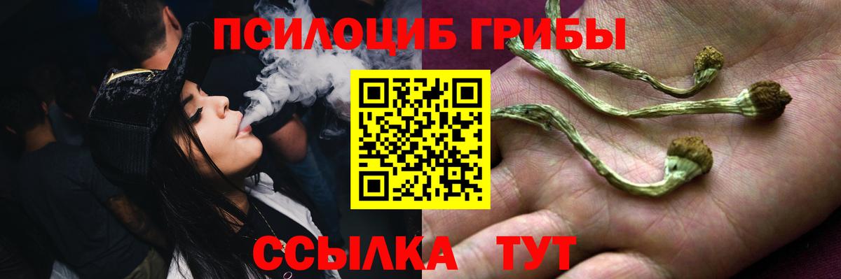 Печора  как найти   Вход с VPN  Галлюциногенные грибы мицелий 